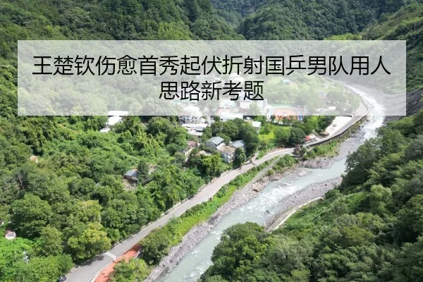 王楚钦伤愈首秀起伏折射国乒男队用人思路新考题
